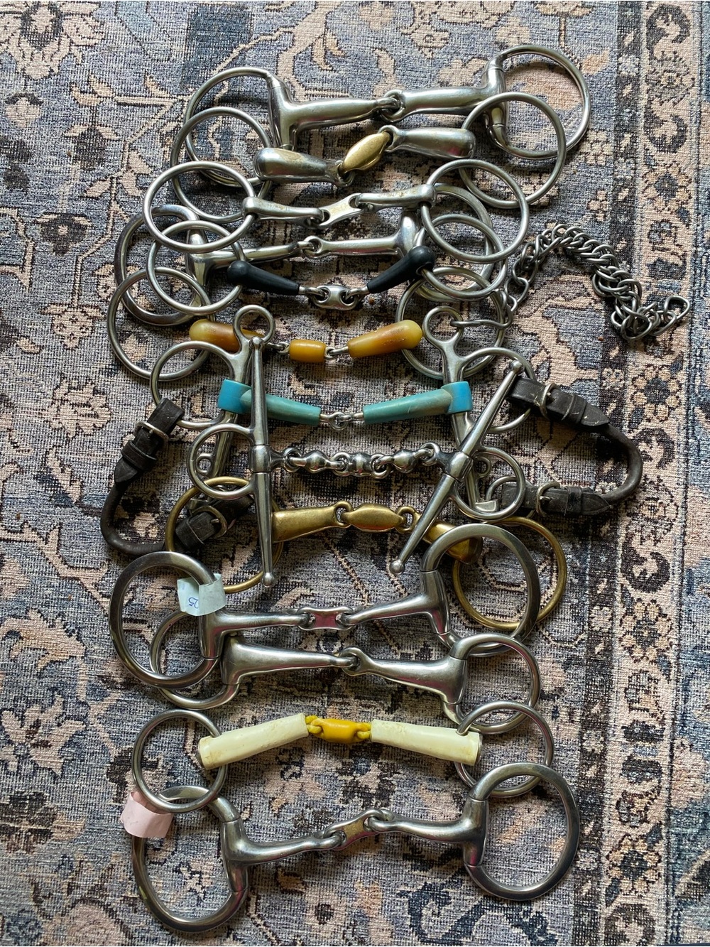 Horse bits bundle English tack